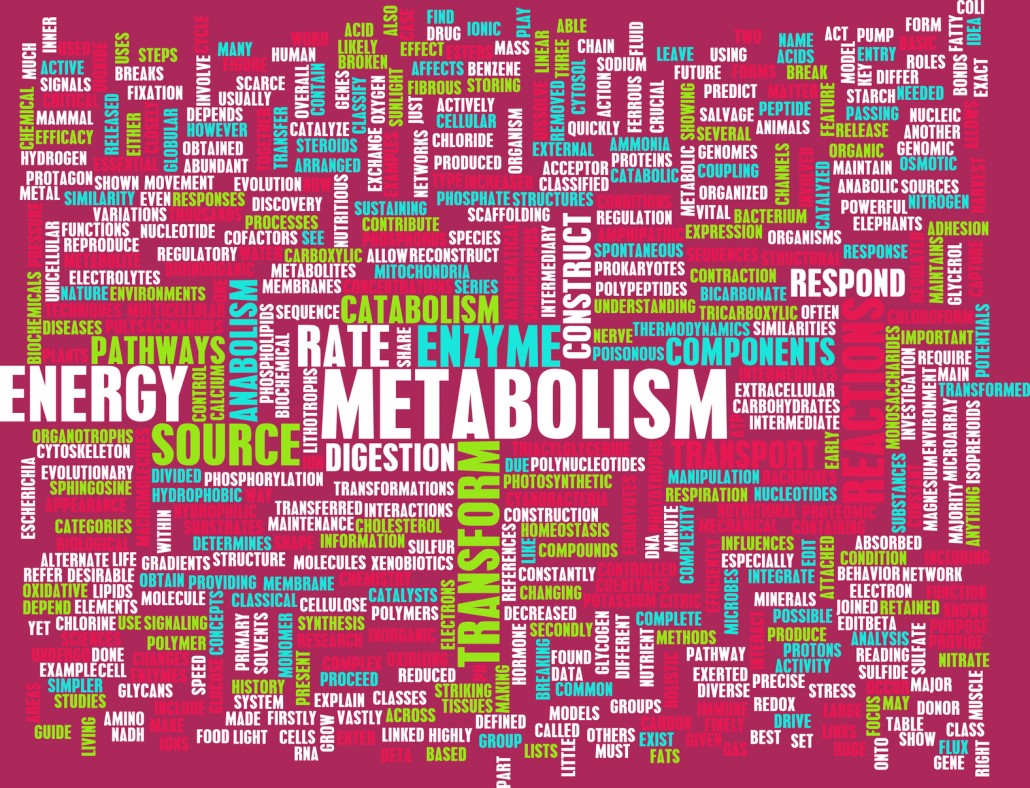 Need a boost in your Metabolism?