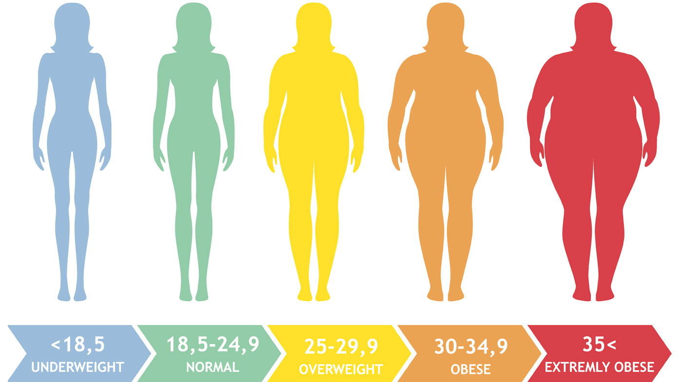BMI Scale and What Does It Mean